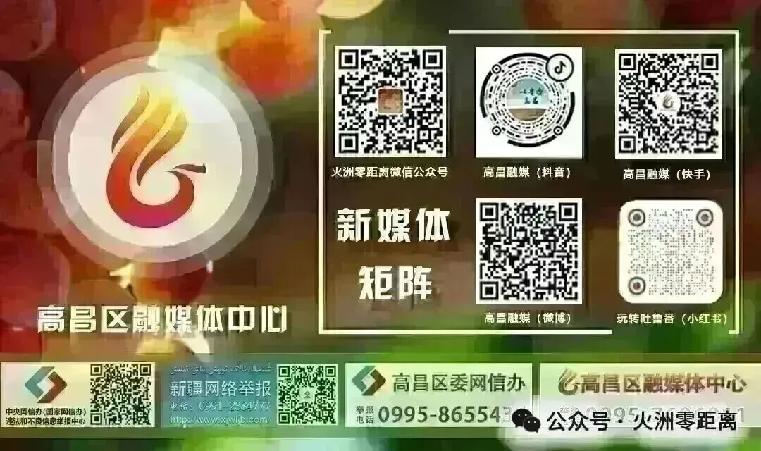 吐鲁番市高昌区:农超对接 打通田间到市场“最后一公里”