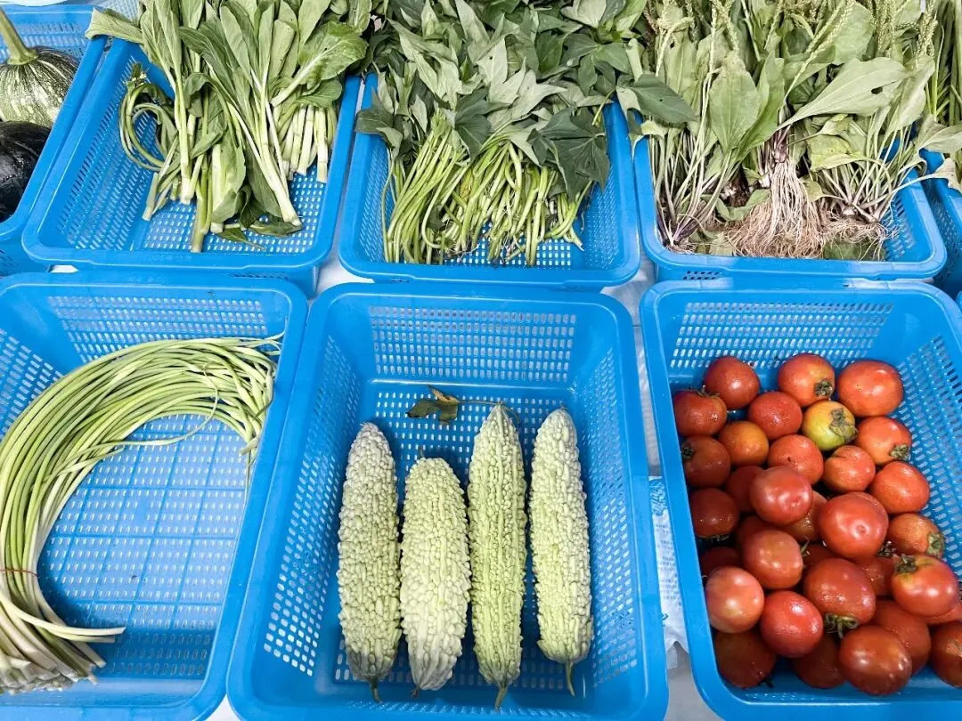 乐昌优质农产品正式进驻大朗市场