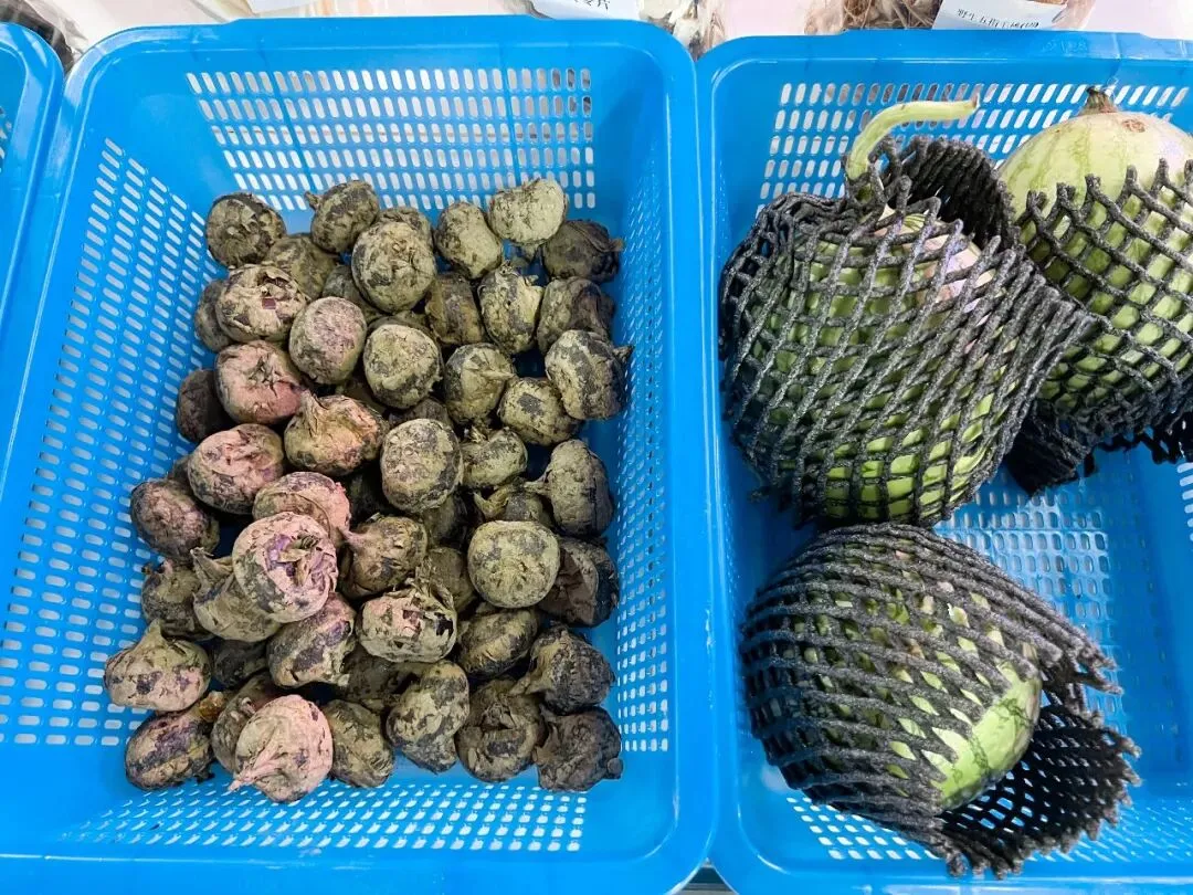 乐昌优质农产品正式进驻大朗市场