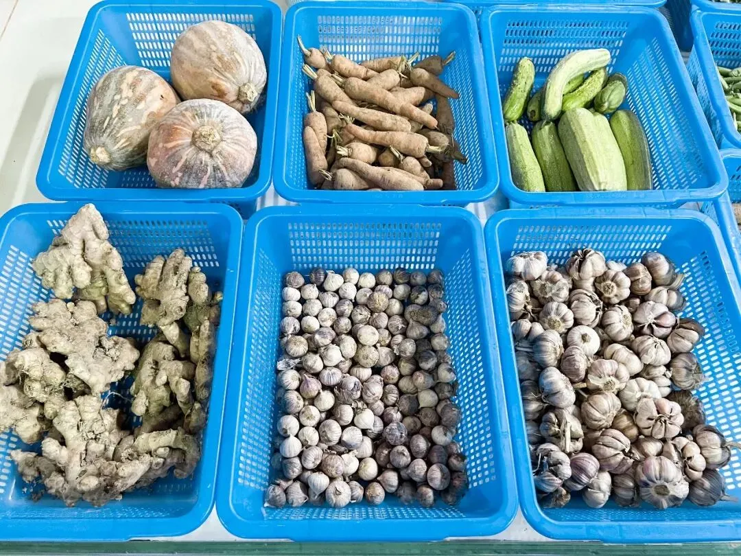 乐昌优质农产品正式进驻大朗市场