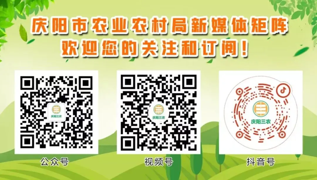 市农业农村局开展农资市场抽查暨农产品质量安全宣贯工作