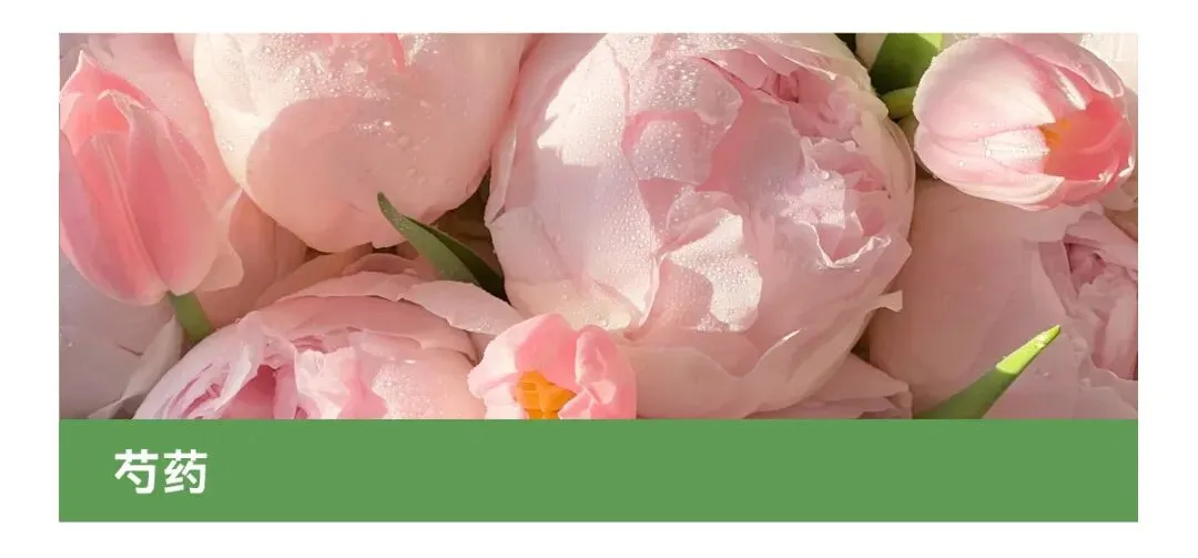 花店四月营销日历