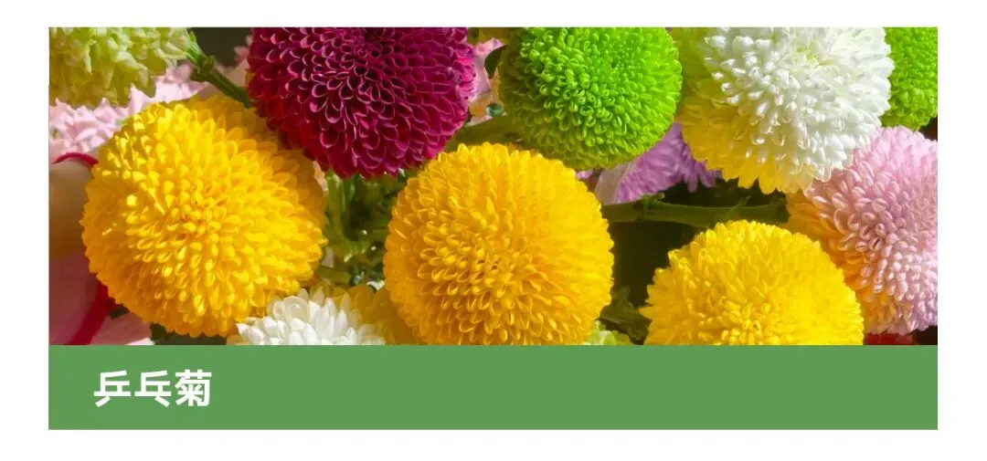 花店四月营销日历