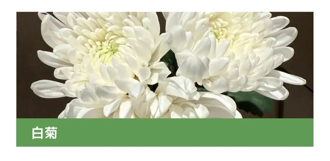 花店四月营销日历