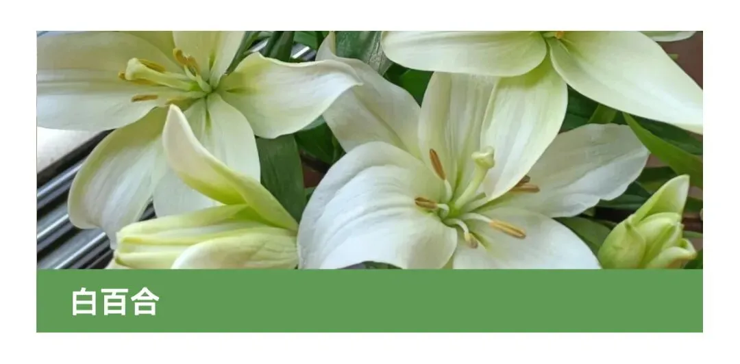 花店四月营销日历