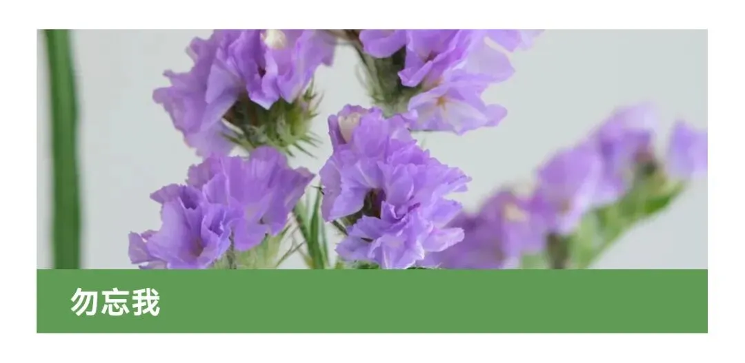 花店四月营销日历