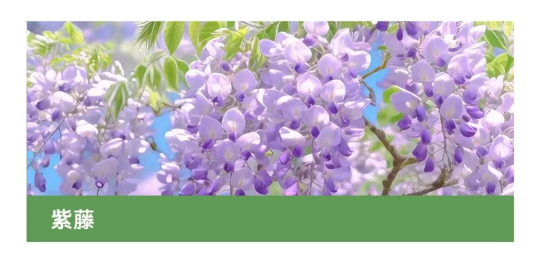 花店四月营销日历