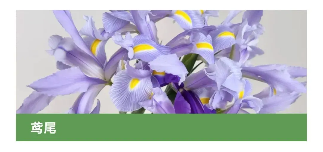 花店四月营销日历