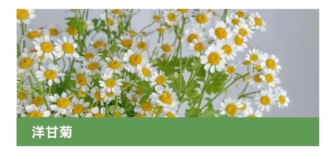 花店四月营销日历