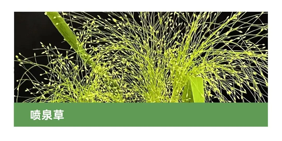 花店四月营销日历