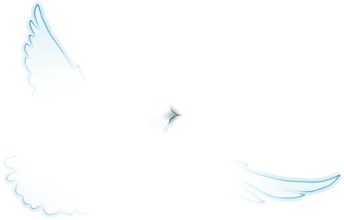 【食品安全】虹口区市场监督管理局查处网络餐饮违法案件典型案例(第一期)