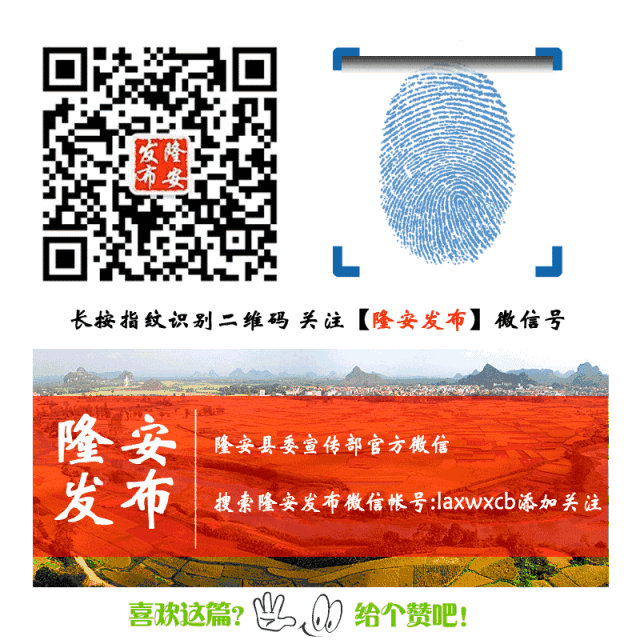 进一步推动资本市场高质量发展,广西这样干