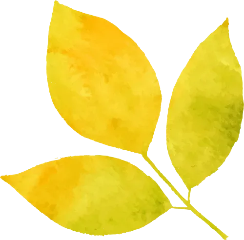 全球照明市场及展会巡览系列之巴西篇