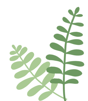 【社会实践】探秘烟火市场,乐享实践成长——庄浪县第二幼儿园开展探秘社会实践活动