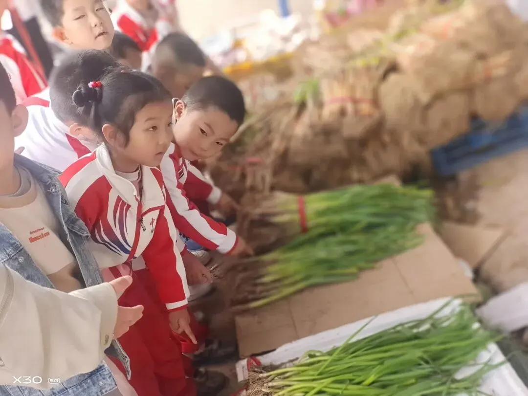 【社会实践】探秘烟火市场,乐享实践成长——庄浪县第二幼儿园开展探秘社会实践活动