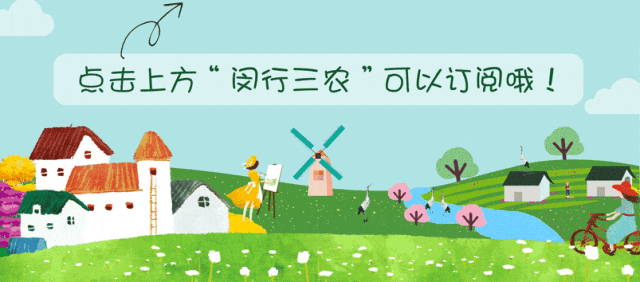 百亿“冷宠”市场热了,这届年轻人为何钟情“神奇动物”?