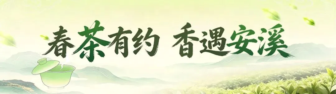 安溪火力全开,引爆春茶文旅市场!