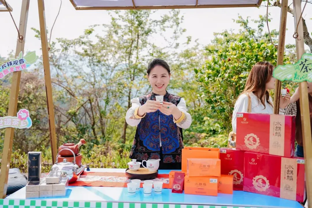 安溪火力全开,引爆春茶文旅市场!
