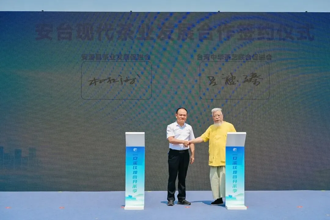 安溪火力全开,引爆春茶文旅市场!