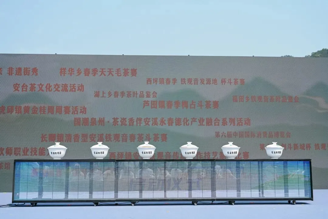 安溪火力全开,引爆春茶文旅市场!