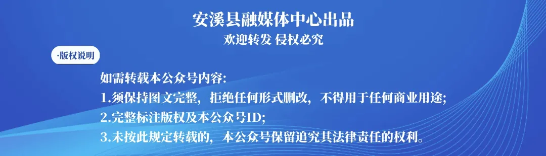安溪火力全开,引爆春茶文旅市场!