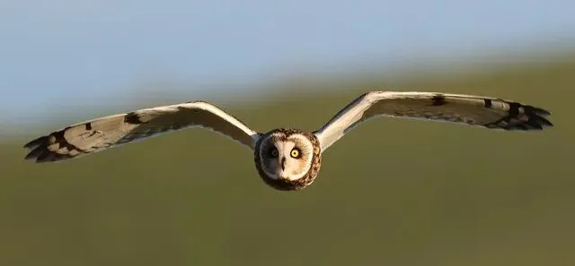 2026短视频获客:专业度正在重新定义流量规则(并非只写给文旅人)