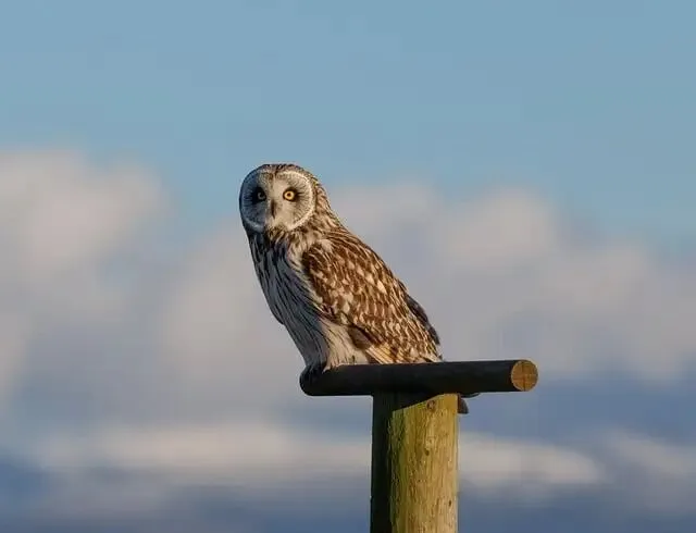 2026短视频获客:专业度正在重新定义流量规则(并非只写给文旅人)