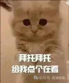 百万株缺口!2026年红豆杉绿化市场爆发,多部门协同规划布局