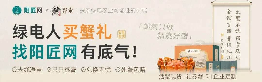 甘肃电力市场:交易结算要点介绍及常见问题分析培训课件2025.05