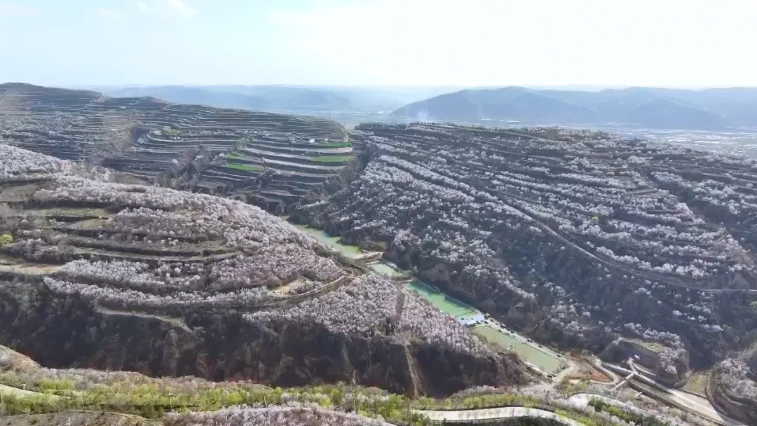 静宁:赏花热叠加红色游 文旅市场释放新动能
