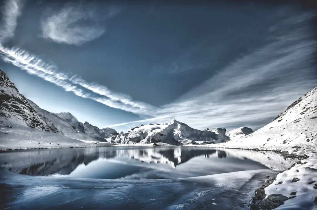 讨厌这个被营销号主导的世界