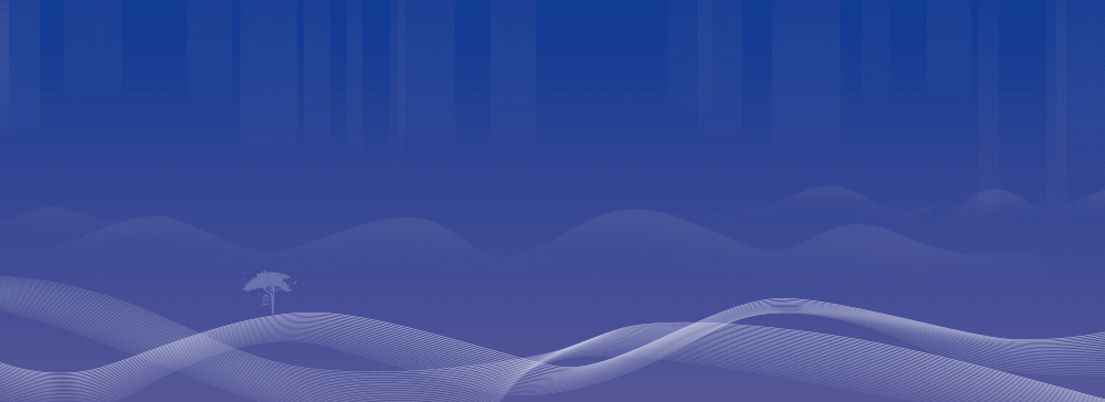 杨承志副区长专题调研全区市场监管工作