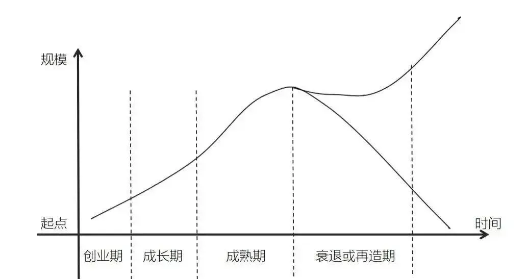 物壮则老:从《道德经》看人生与市场的自然规律