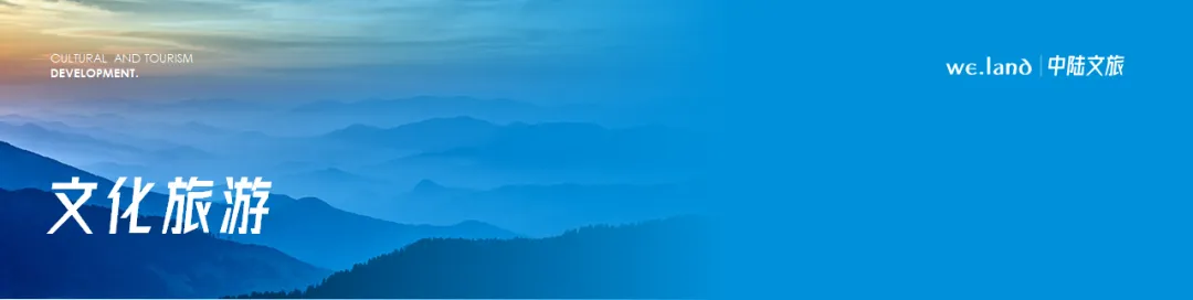 如何统筹政府与市场,推动旅游业高质量发展?