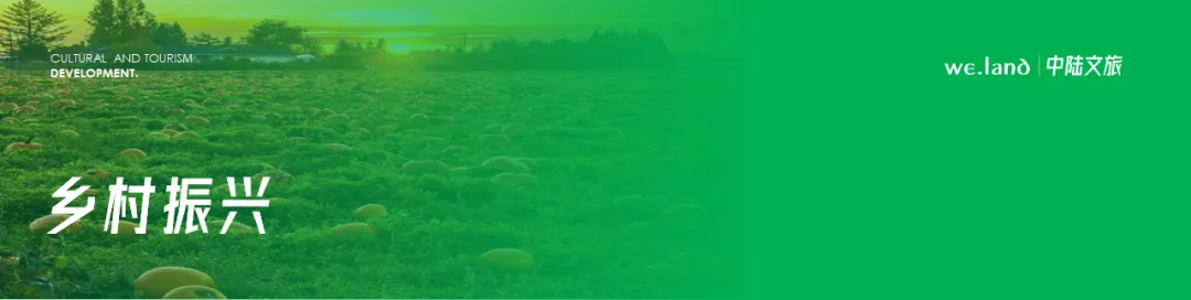 如何统筹政府与市场,推动旅游业高质量发展?