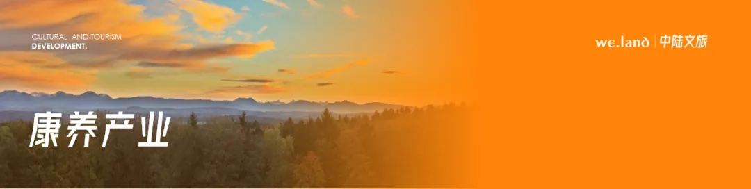 如何统筹政府与市场,推动旅游业高质量发展?