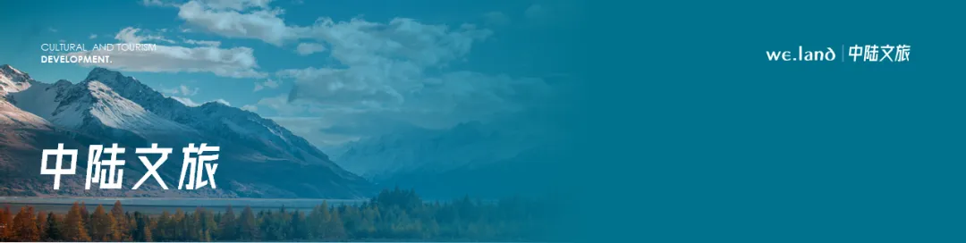 如何统筹政府与市场,推动旅游业高质量发展?