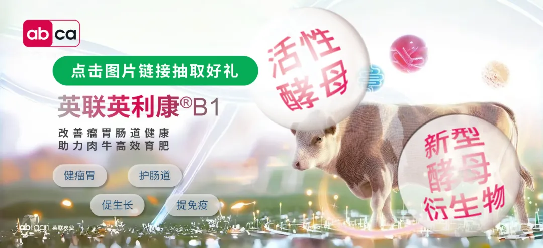 全球牛肉市场总供给下降 需求刚性 价格将持续上涨!