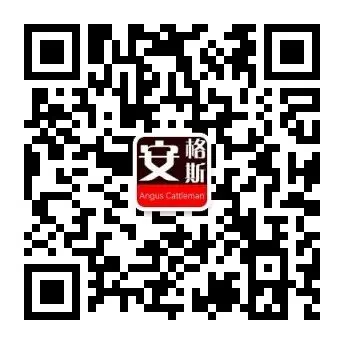 全球牛肉市场总供给下降 需求刚性 价格将持续上涨!