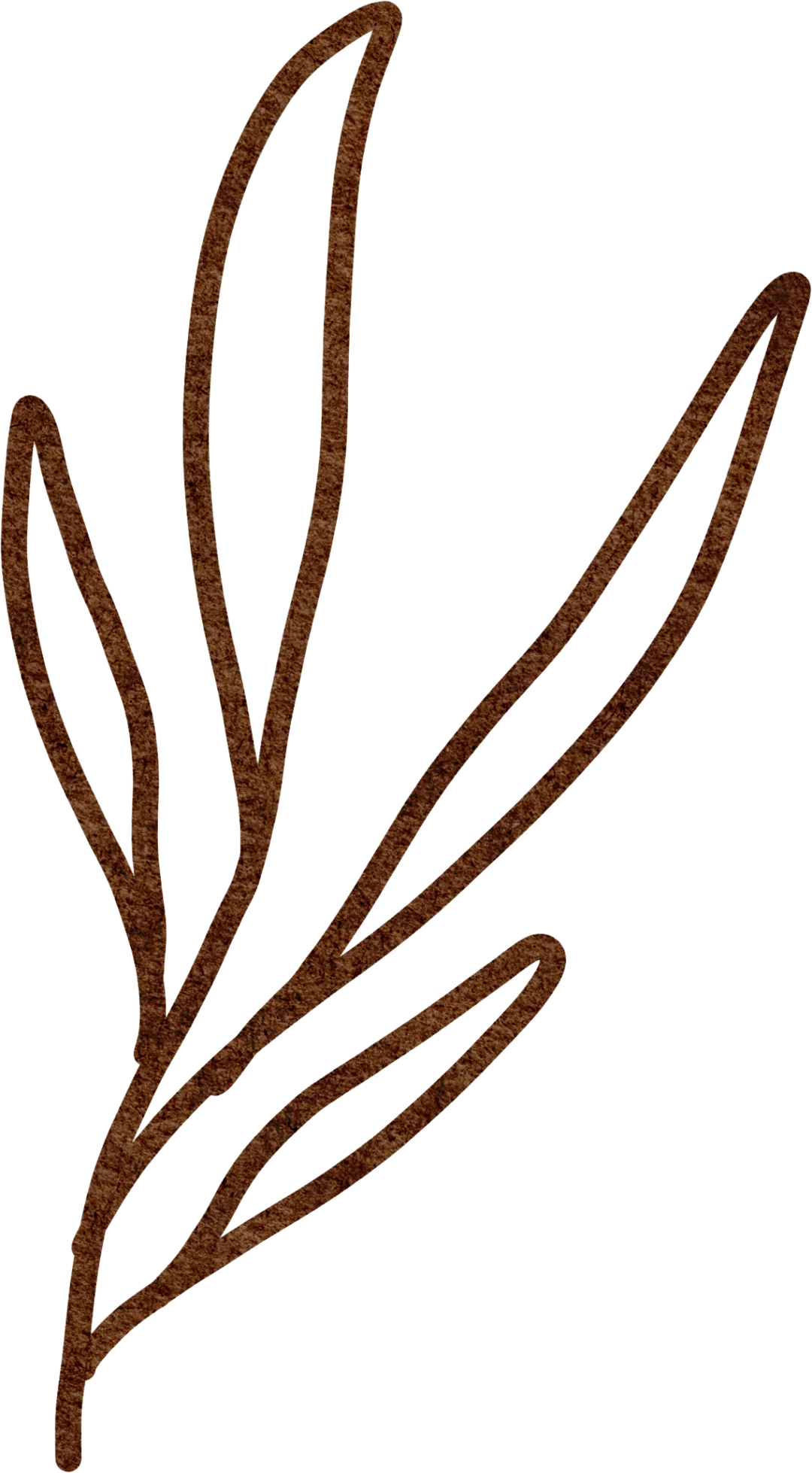 约克大学欧洲校区硕士重点专业之数字营销和社交媒体研究:重塑你的思维与国际视野