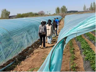 产教携手探振兴,校企赋能促农旅|市场营销系师生赴新乐市桃乡旅游开发有限公司开展调研活动