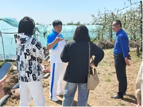 产教携手探振兴,校企赋能促农旅|市场营销系师生赴新乐市桃乡旅游开发有限公司开展调研活动