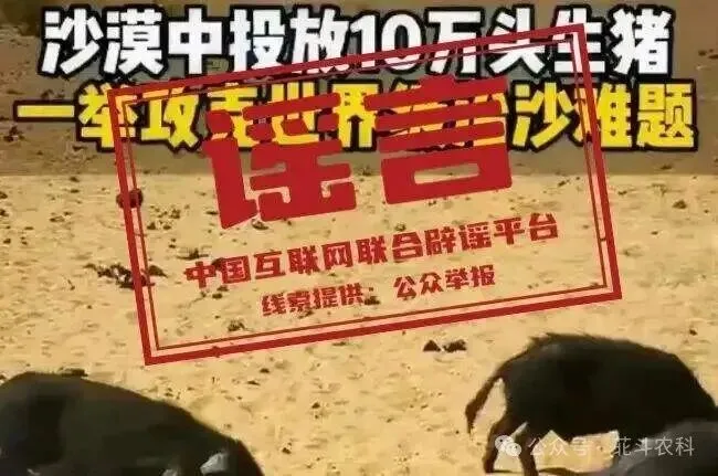 市场‖辟谣!网传库布其沙漠“10万头黑猪治沙变绿洲”,纯属不实信息