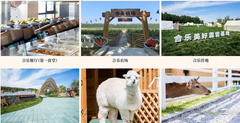 产品 * 运营 * 营销:康养地产项目成功的乘法法则,缺一不可!