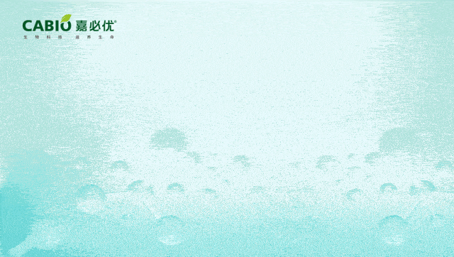 市场监管总局通报42批次食品抽检不合格,含4批次特殊膳食食品