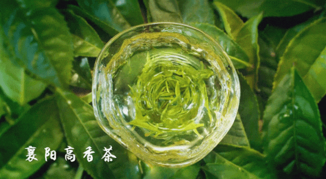茶叶卖不动?爷爷不泡茶与湖北省博的联名营销,值得看看