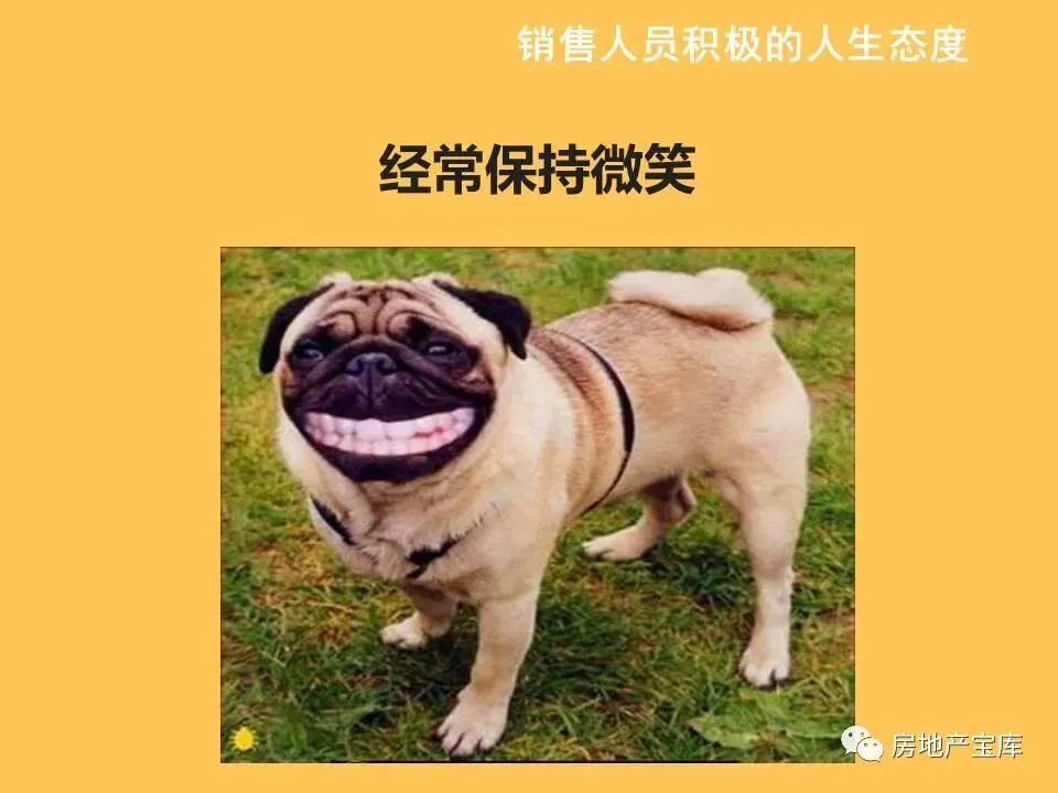 【干货】如何激励销售人员?