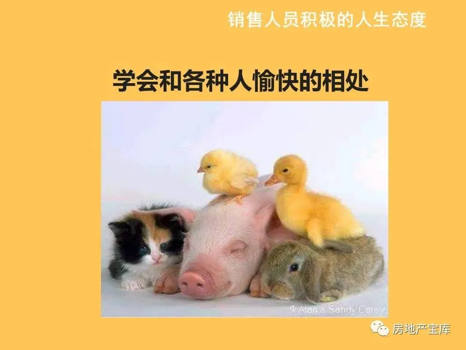 【干货】如何激励销售人员?