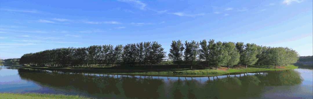 “西红柿乐园”里的“云市场”