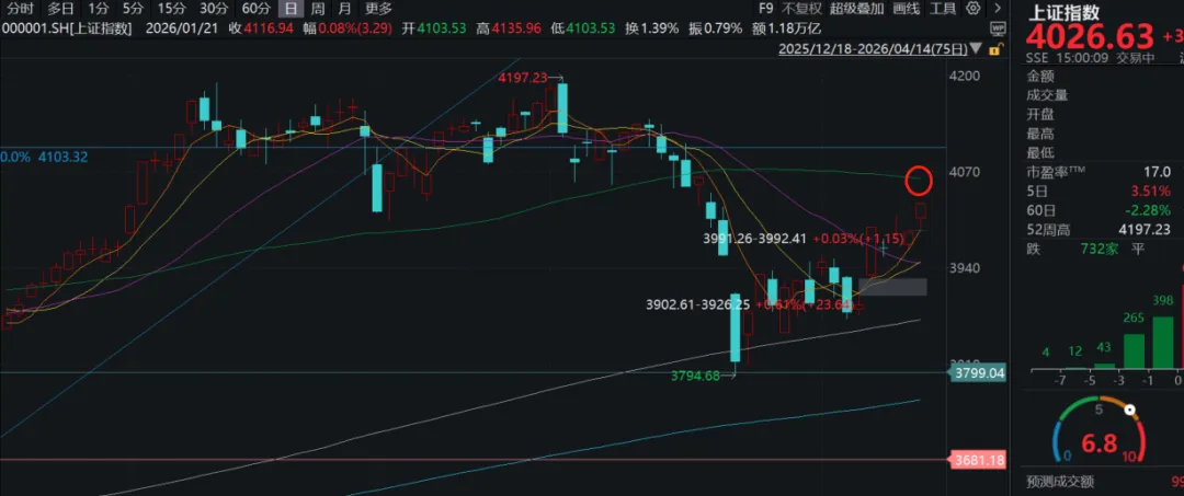 市场为什么这么乐观?